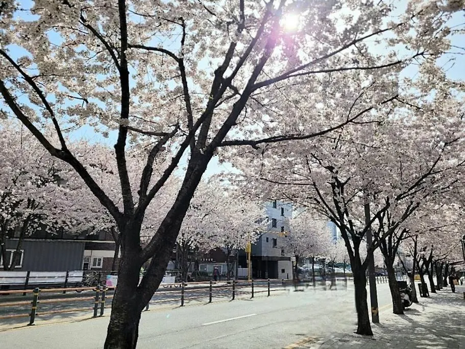 New Seoul Vera House 0*,  대한민국